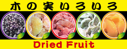 木の実いろいろ ドライフルーツ